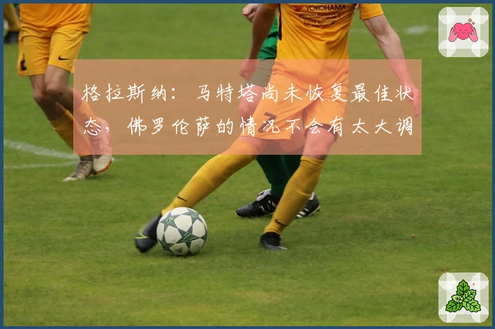格拉斯纳：马特塔尚未恢复最佳状态，佛罗伦萨的情况不会有太大调整。